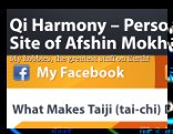 Afshins website