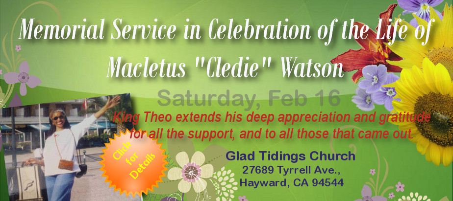 Life Celebration